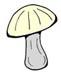 Mushroom1